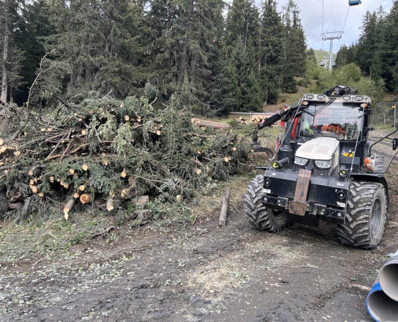 Coupe d'arbres par le Service forestier. 12.09.2024