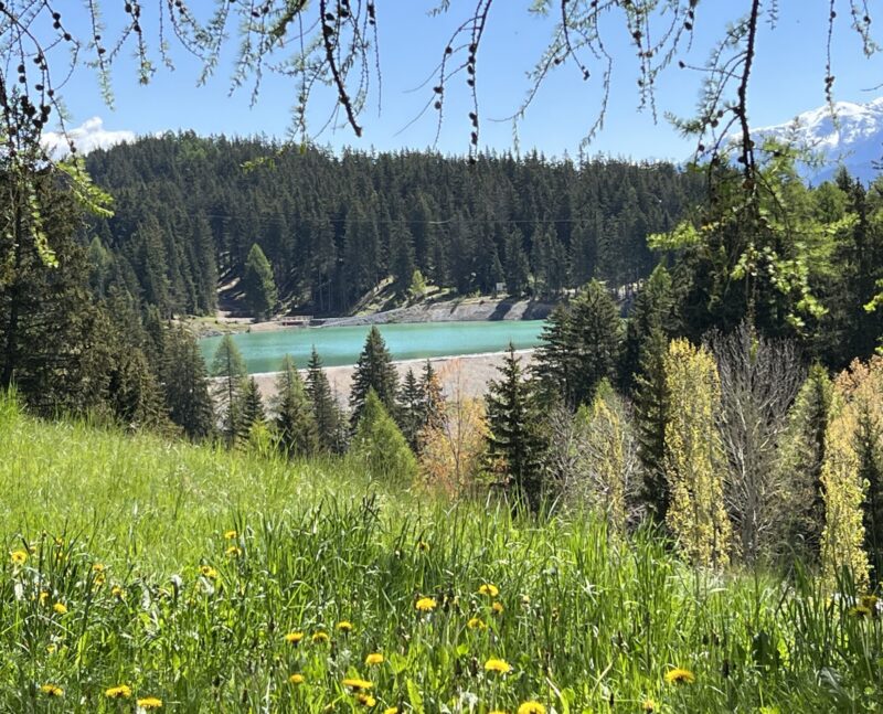 Le Lac de Chermignon vu de l'ouest.18.05.2025