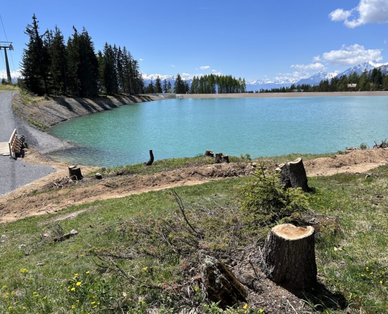 Lac de Chermignon vu du nord-est. 18.05.2025