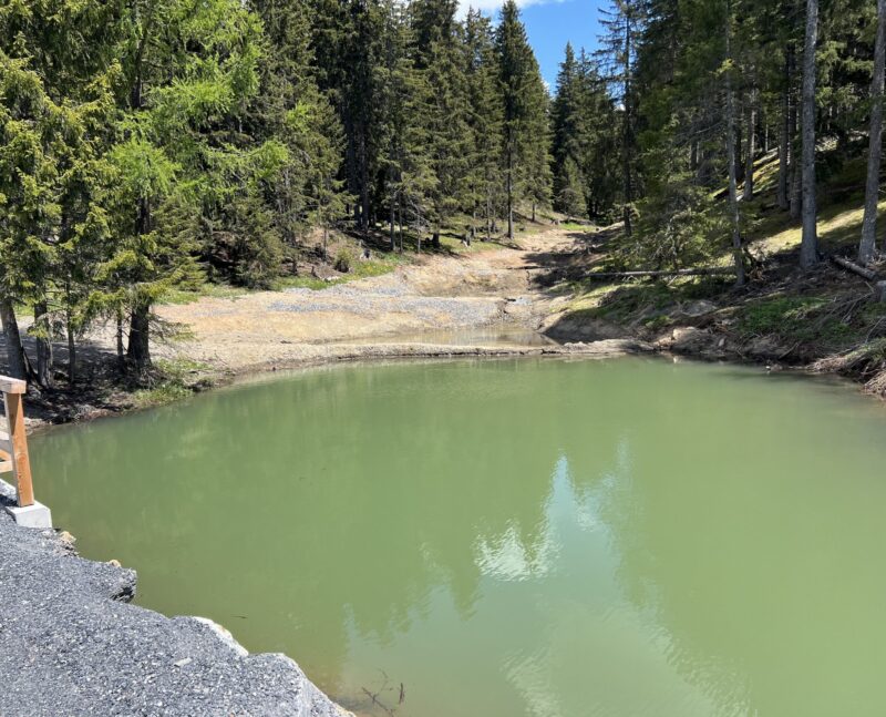 Zone humide à l'est du lac. 18.05.2025