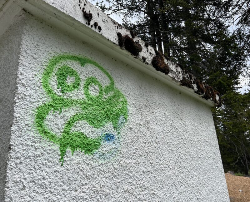 Wall painting. 18.05.2025