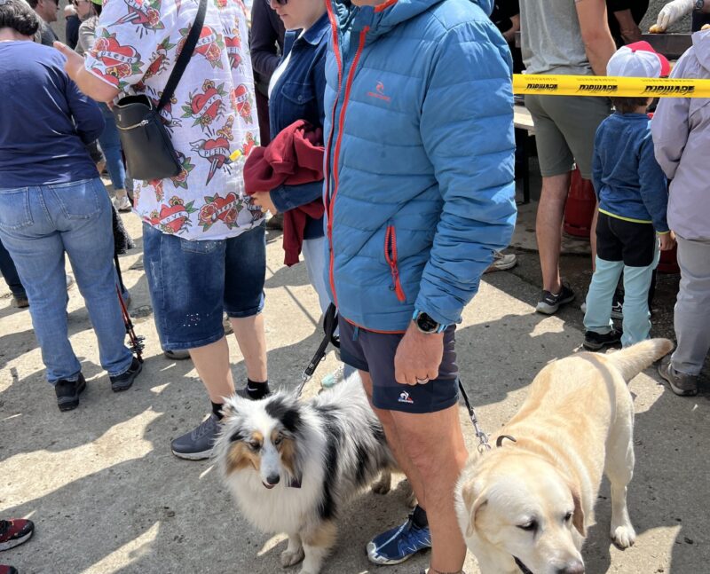Serge Tardin et ses deux chiens