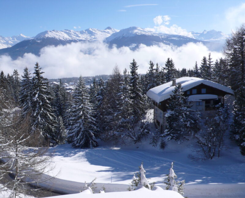 Chalet Le Vieux Bisse. Février 2009