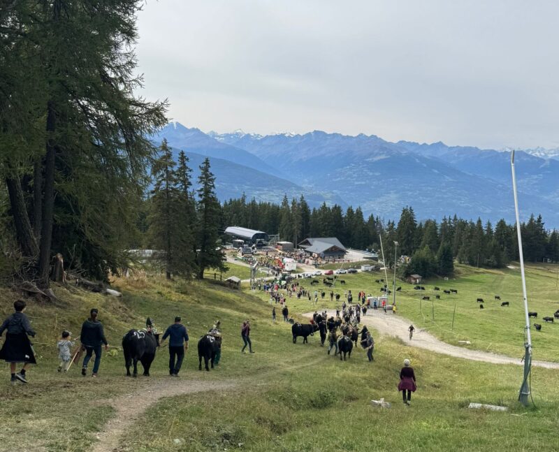Descente vers l'Arnouvaz
