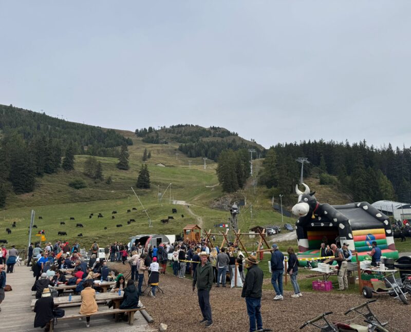 Désalpe. L'Arnouvaz