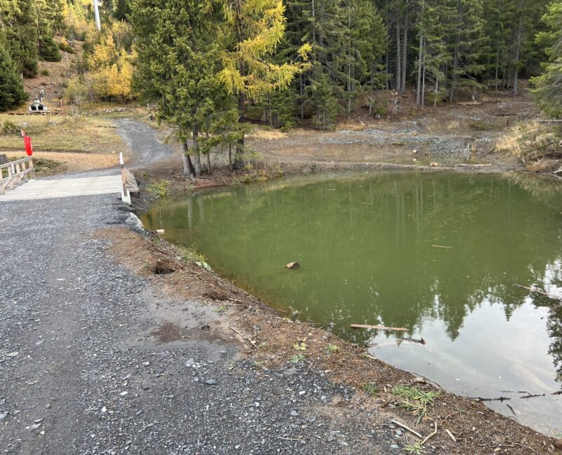 Passerelle et zone humide. 01.11.2025