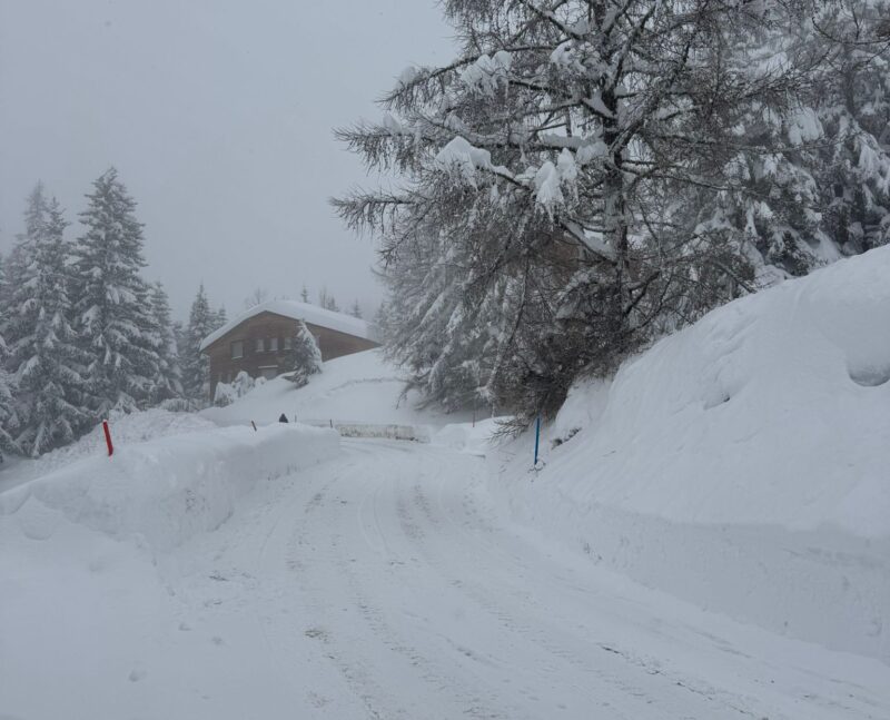 Chemin de la Digue. 17. 02. 2026