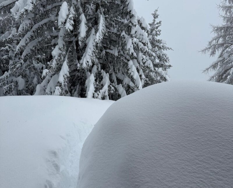 Amorce de chemin. 17. 02. 2026