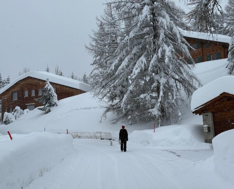 Chemin de la Digue. 17. 02. 2026