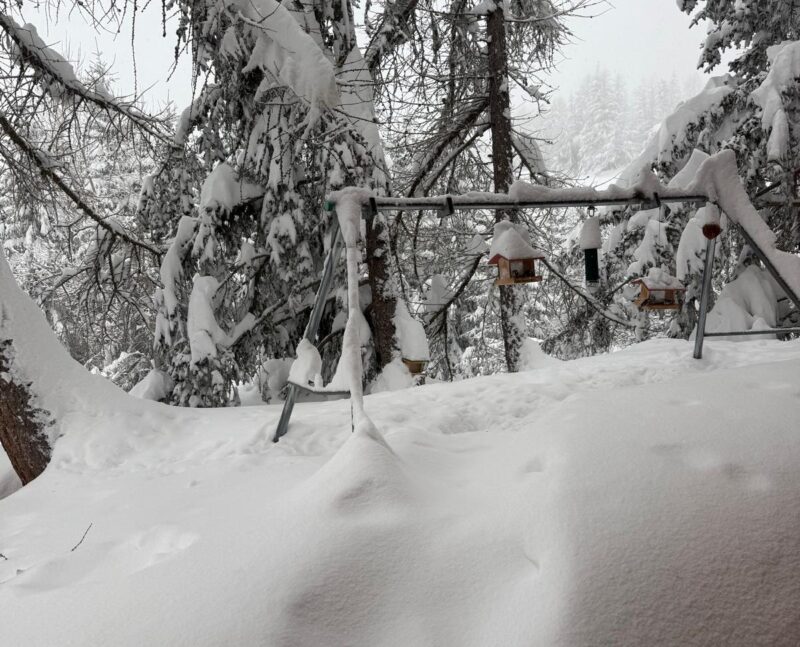 Balançoire sous la neige. 17. 02. 2026