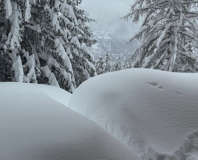 Amorce de chemin. 17. 02. 2026