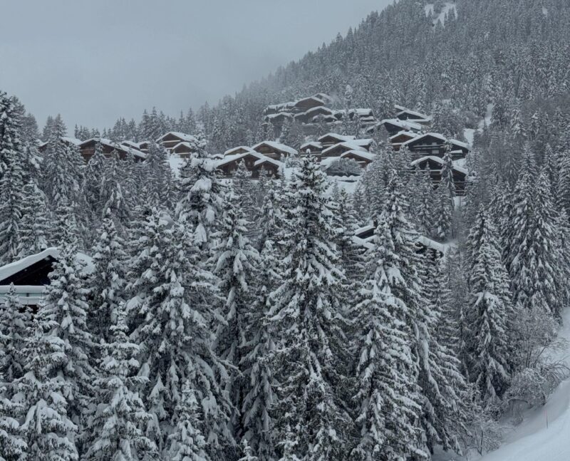 Plans-Mayens. Vue d'ensemble. 18. 02. 2026