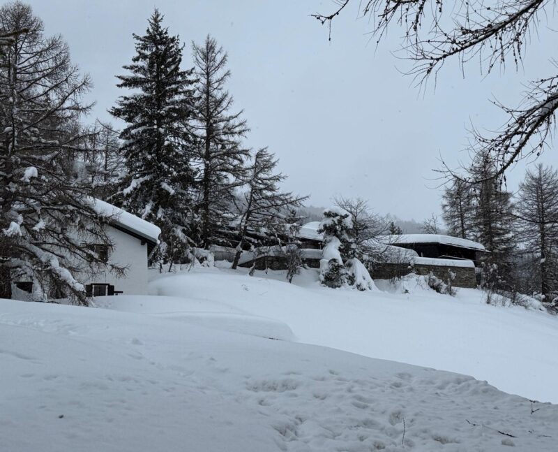 Chalet Vipasca. 19. 02. 2026