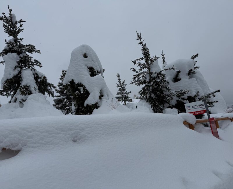 Arrêt d'autobus. 19. 02. 2026