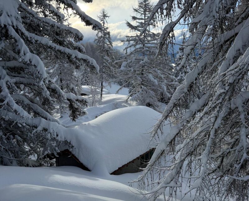 Toit du garage. 20. 02. 2026