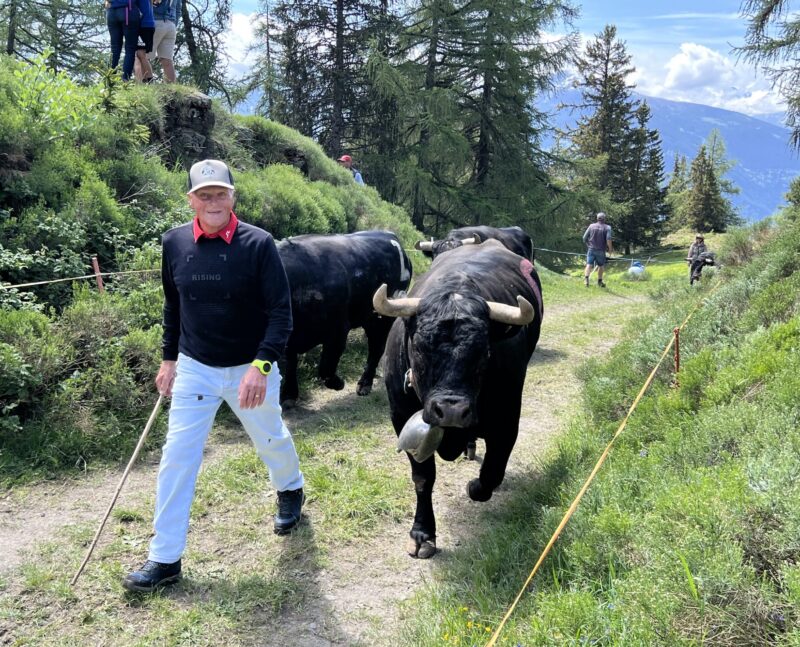 Le toujours jeune Marius Robyr et ses deux vaches.