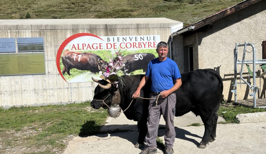 La reine du troupeau et son propriétaire devant l'enseigne de l'alpage.