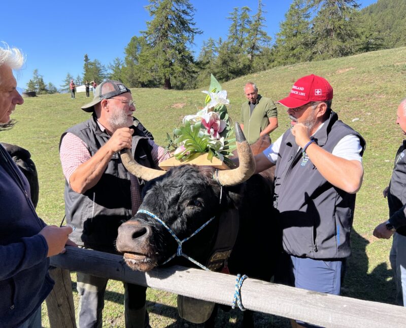 Une vache fleurie bien entourée. La casquette rouge a été rendue célèbre par le président de la Confédération.
