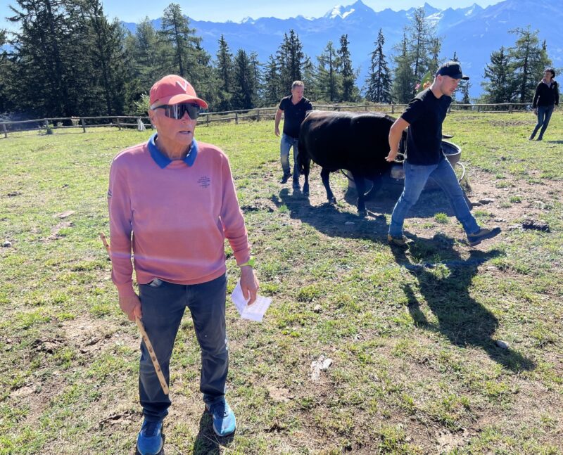 Marius Robyr exerce son autorité sur les vaches et sur leurs propriétaires.