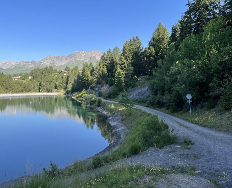 Lac de Chermignon. Rive nord vue de l'est. Juillet 2022