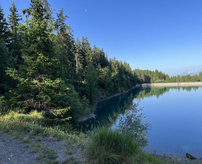 Lac de Chermignon. Rive sud vue de l'est. Juillet 2022