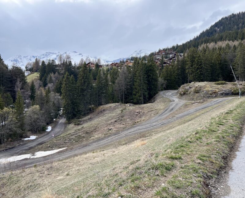 Lac de Chermignon. Déboisement nord. 22.04.2023