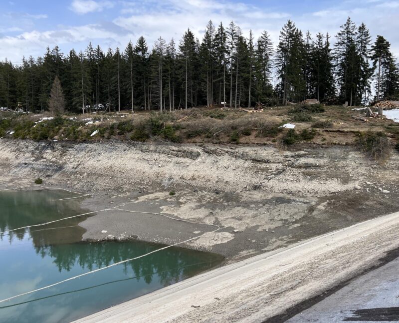 Lac de Chermignon. Déboisement de la partie sud. 22.04.2023