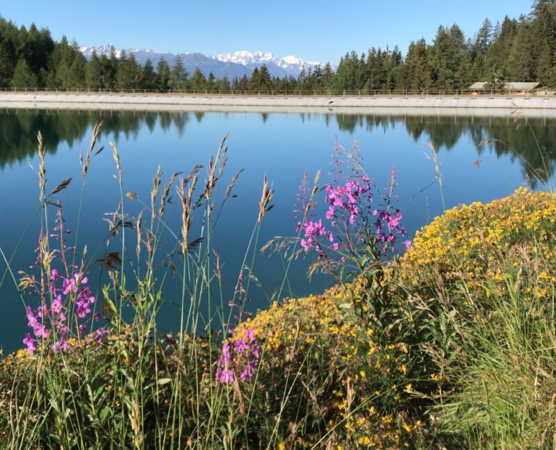 Lac de Chermignon. 5 juillet 2020