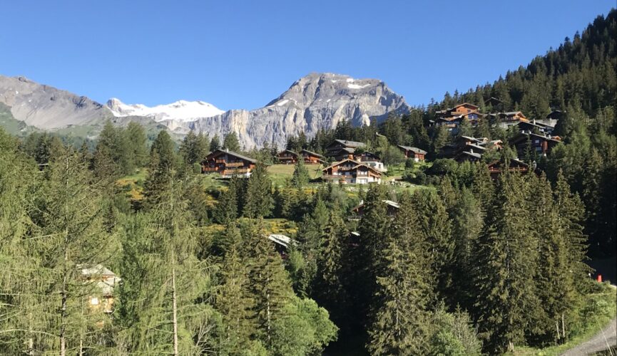 Partie supérieure de Plans-Mayens vue du sud-est.